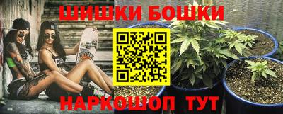 хмурый Бердск